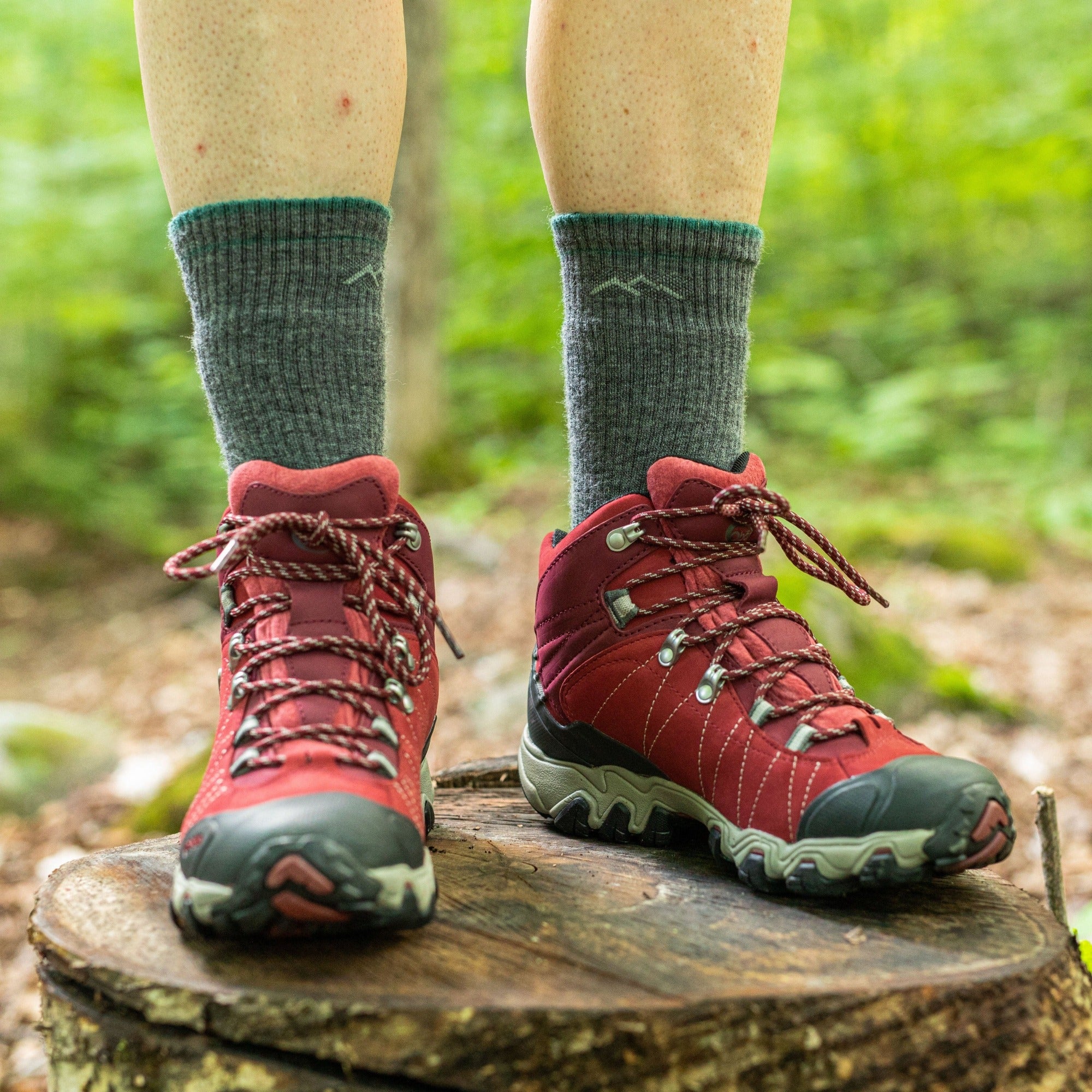 Thumbnail 10